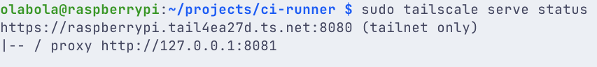 tailscale_serve_pi.png